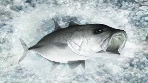 Reel Fishing Ocean Challenge screenshot 2