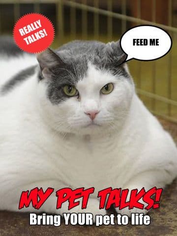 My Pet Talks! screenshot 2