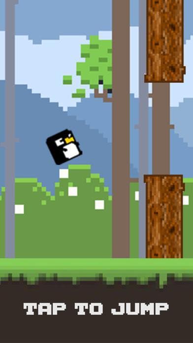 Bird Watch Game Pro screenshot 3