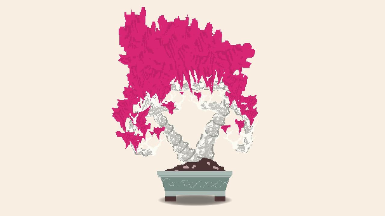 Bonsai Builder