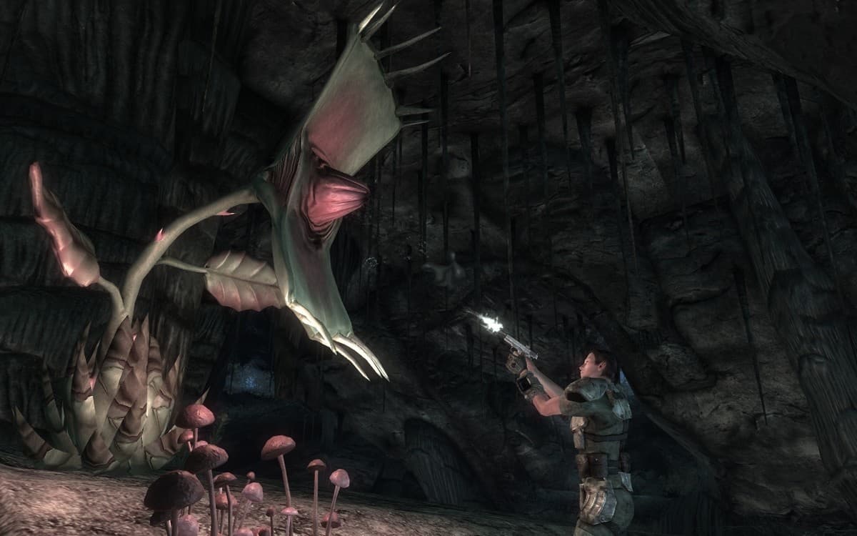 Fallout: New Vegas - Honest Hearts screenshot 6