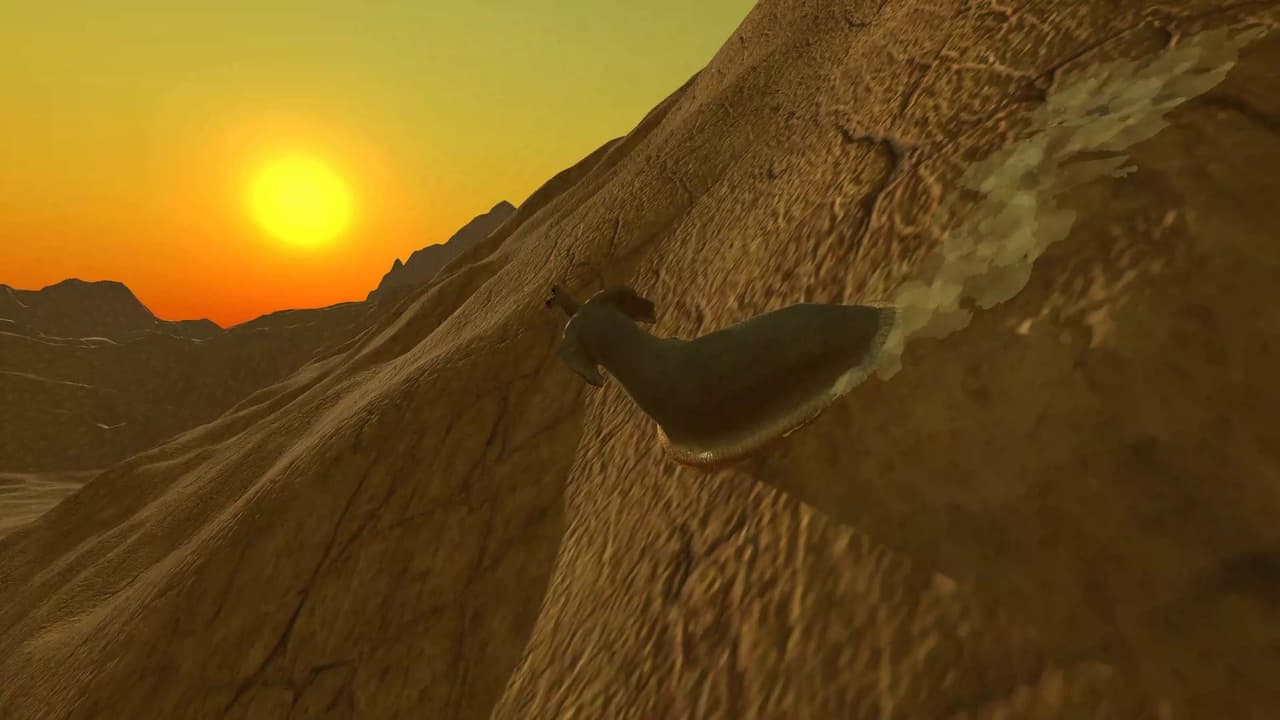Elephantidae Gastropod Mollusc