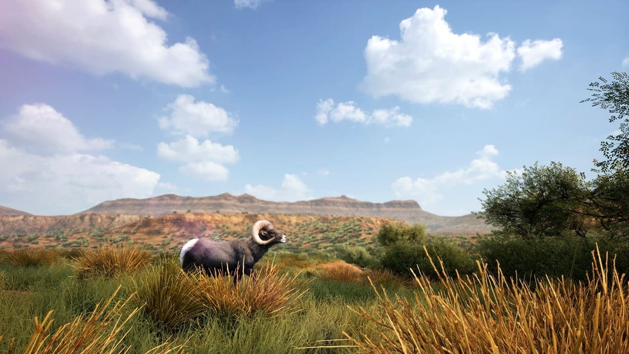 Hunting Simulator 2 Xbox Series X|S