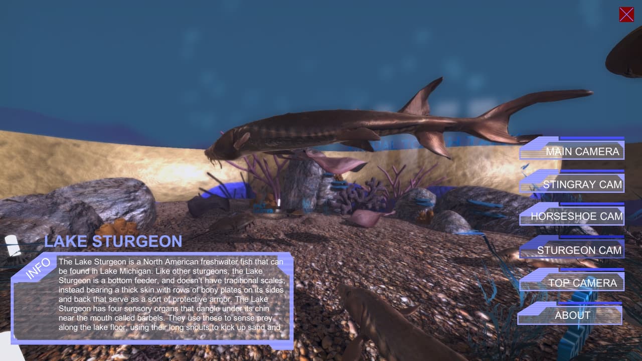 Virtual Aquarium (Discovery World Touch Tank) screenshot 5