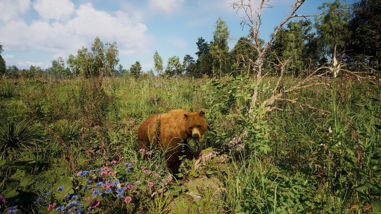 Russian Soul Simulator screenshot 6