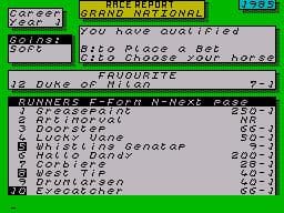 Grand National screenshot 3