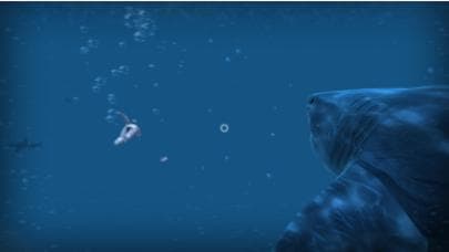 VR Shark