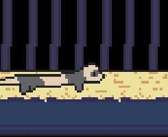 Ferrets hunt for Treasure