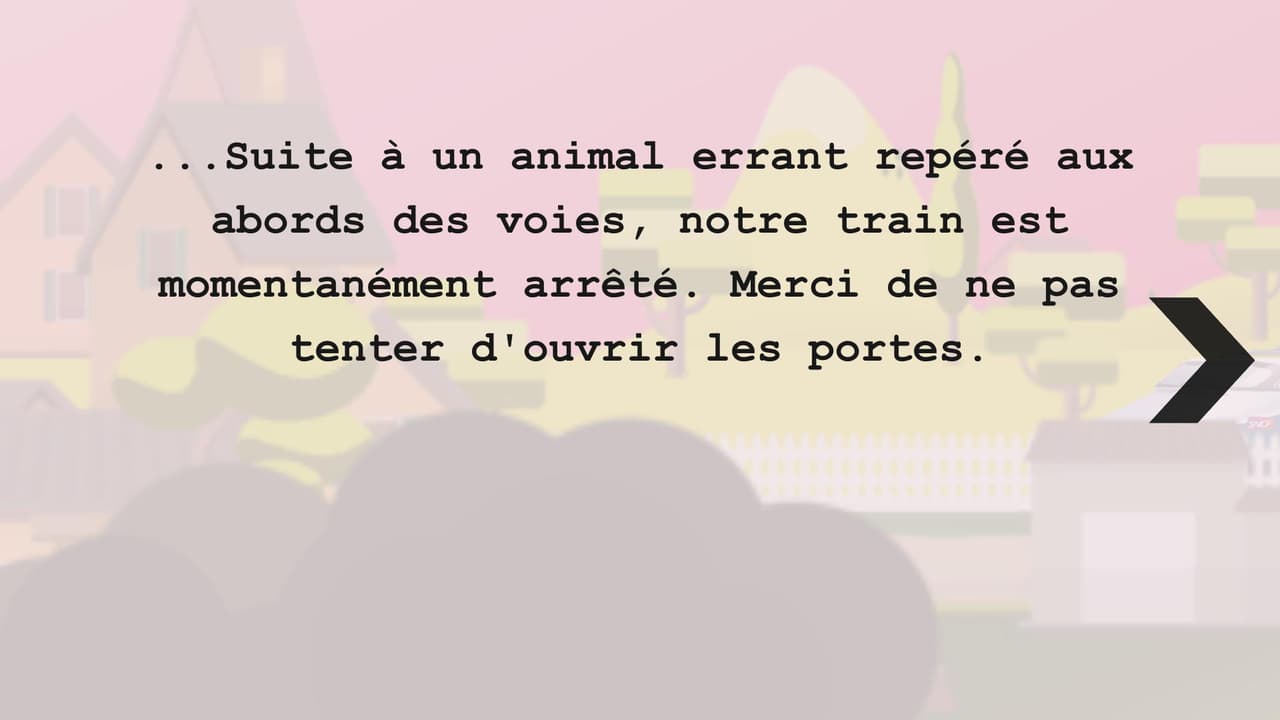 Mesdames Messieurs screenshot 6