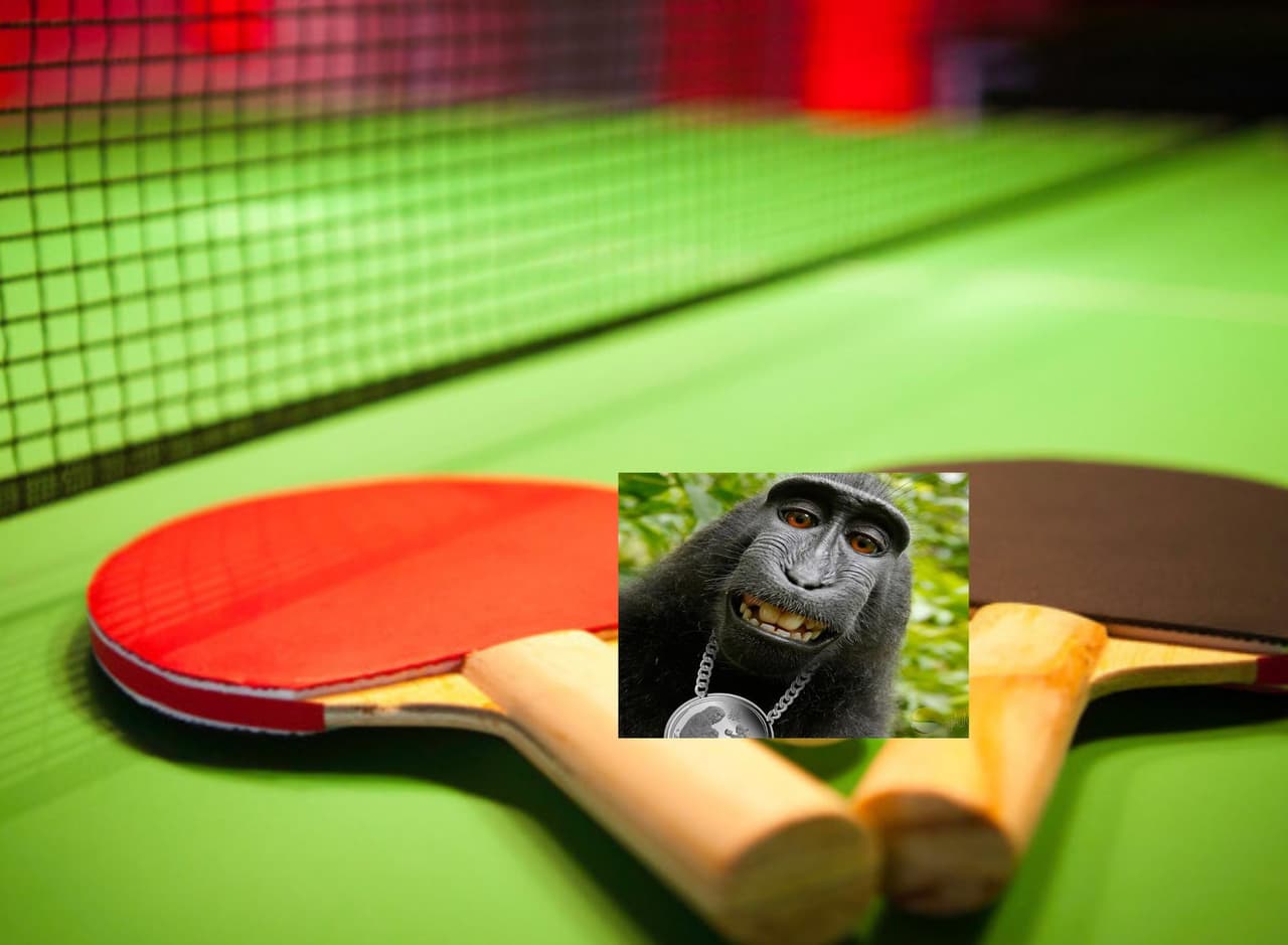 Ping pong but bad