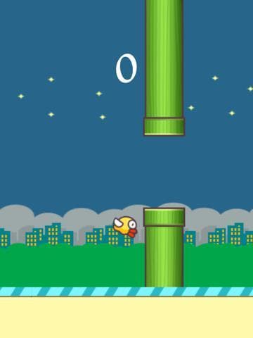Fly Birds-Make Them Bouncing Jump screenshot 4