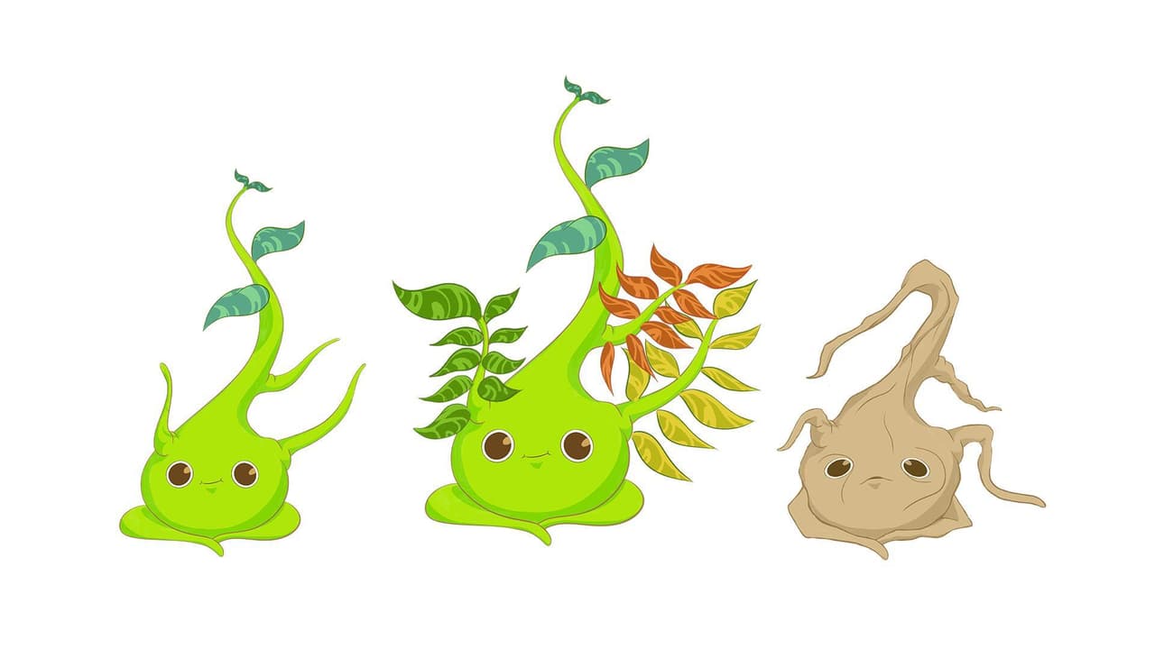 Infinite Root
