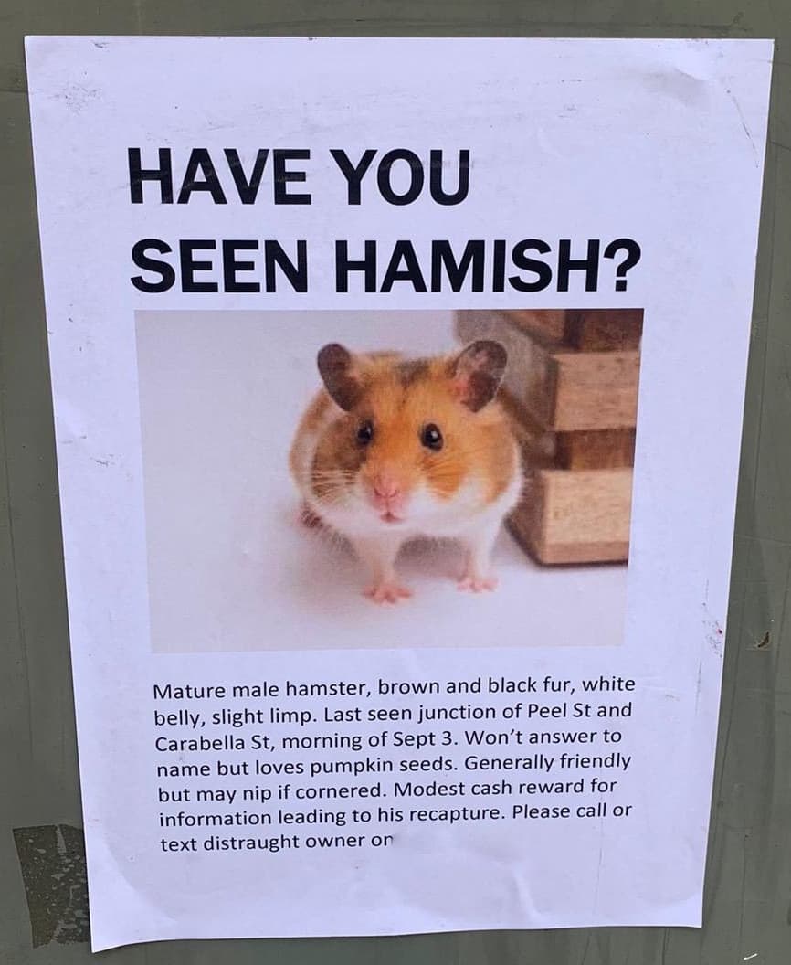 Hamish screenshot 2