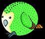 Kakapo: Flight of Destiny