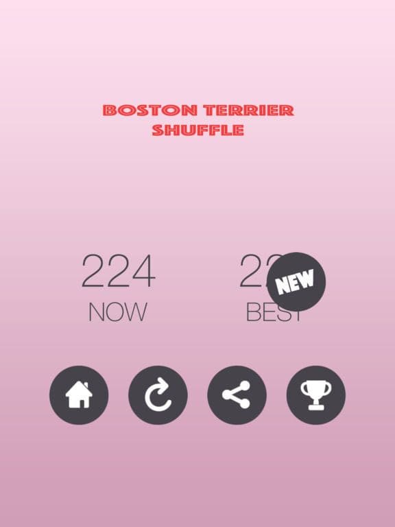 Boston Terrier Shuffle