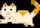 Bert the Cat and the Dimensional Portal