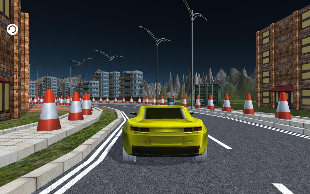BirDrunCar screenshot 4