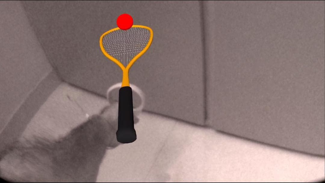 AR Squash screenshot 2