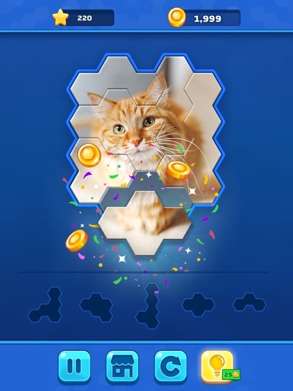 Hexa Jigsaw Challenge screenshot 4