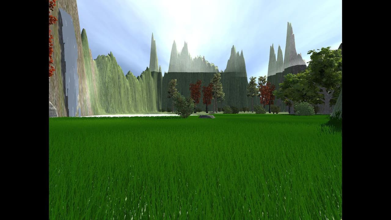 The wilderness of the forest