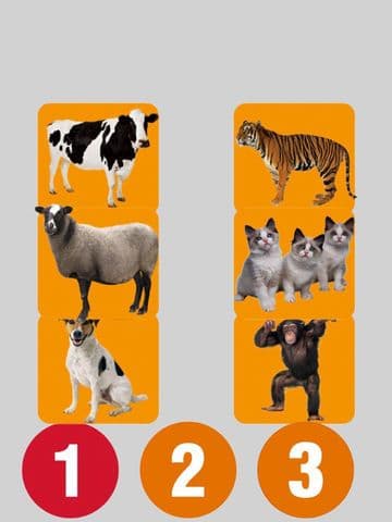 Animal Audio Pro screenshot 3