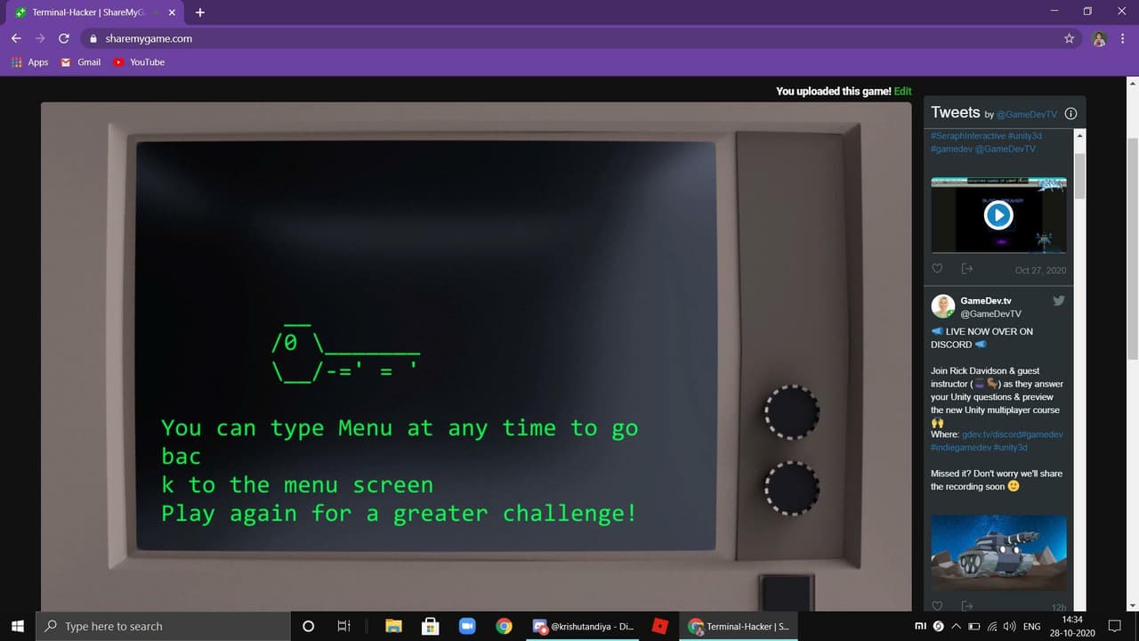 Terminal-Hacker (Technical Stampede)