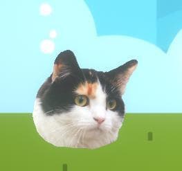 Flappy Meeko Kitty