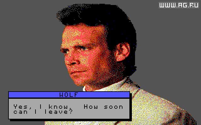 David Wolf, Secret Agent screenshot 2