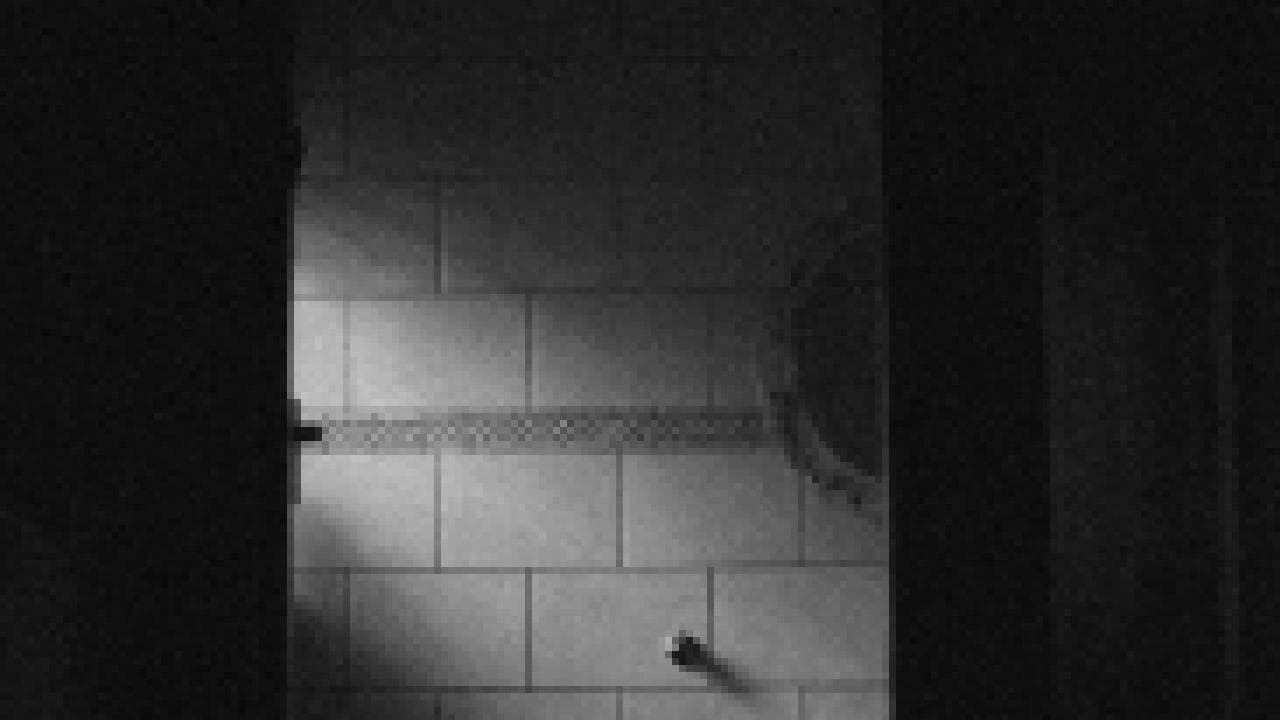 A Quiet Afternoon screenshot 3