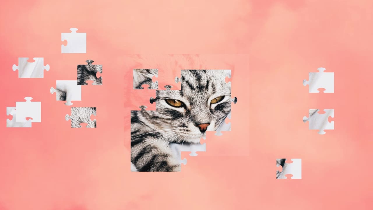 Jigsaw Puzzle Cats