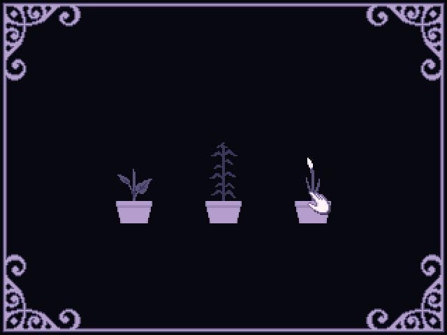 Lavender (itch)