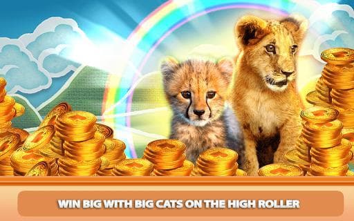 Casino Kitty Free Slot Machine