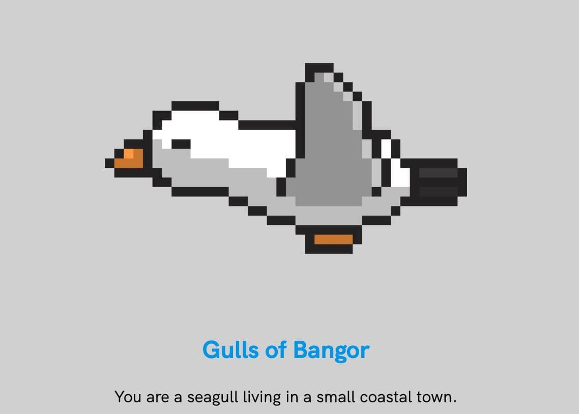 gulls of bangor