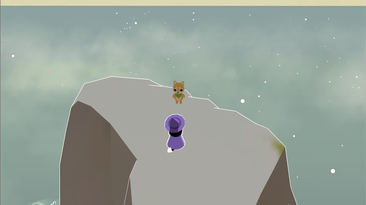 Wizard Cat