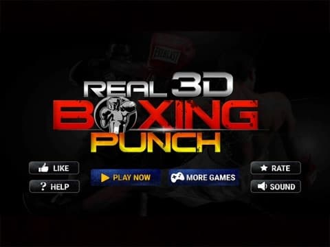 Real 3D Boxing Punch screenshot 2