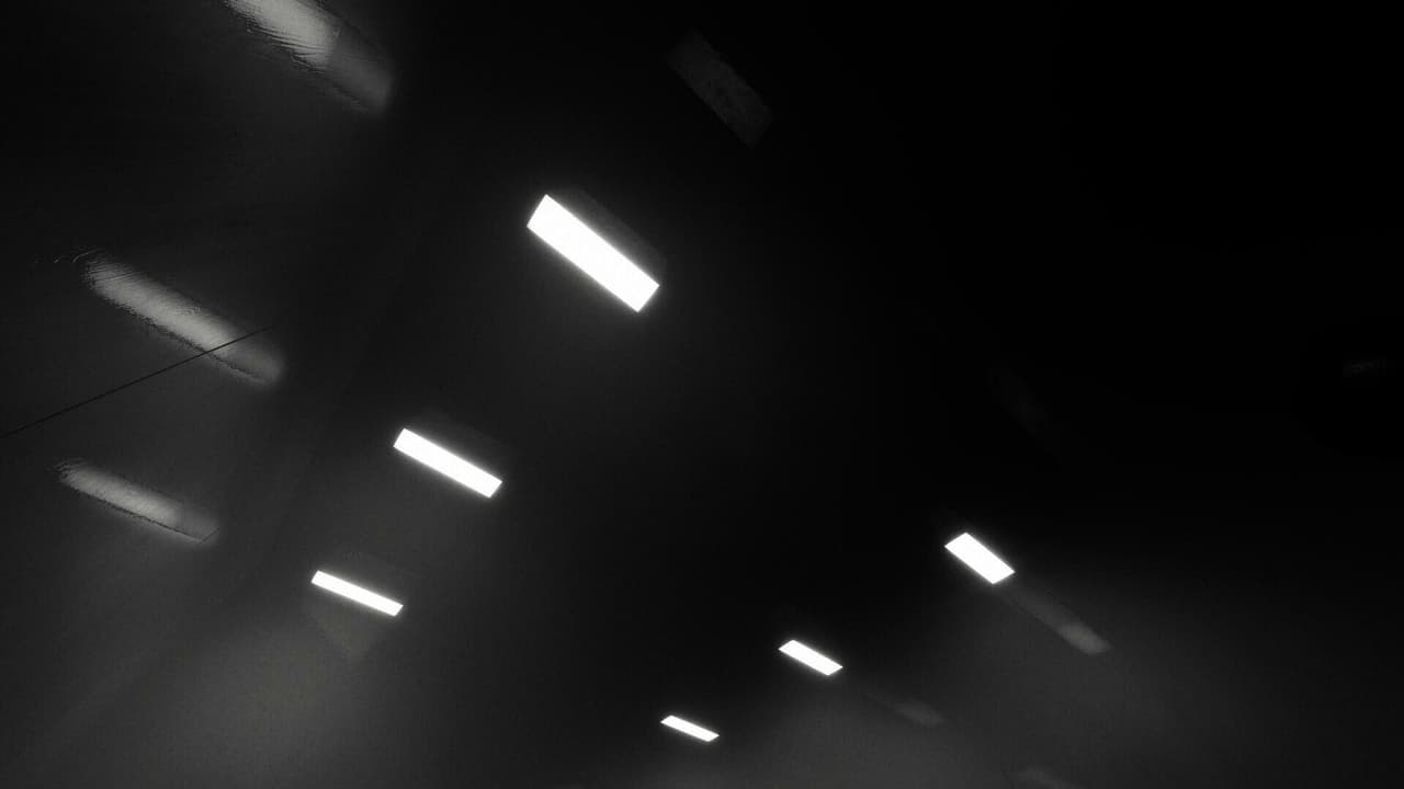 Backrooms: The Phobolore screenshot 5