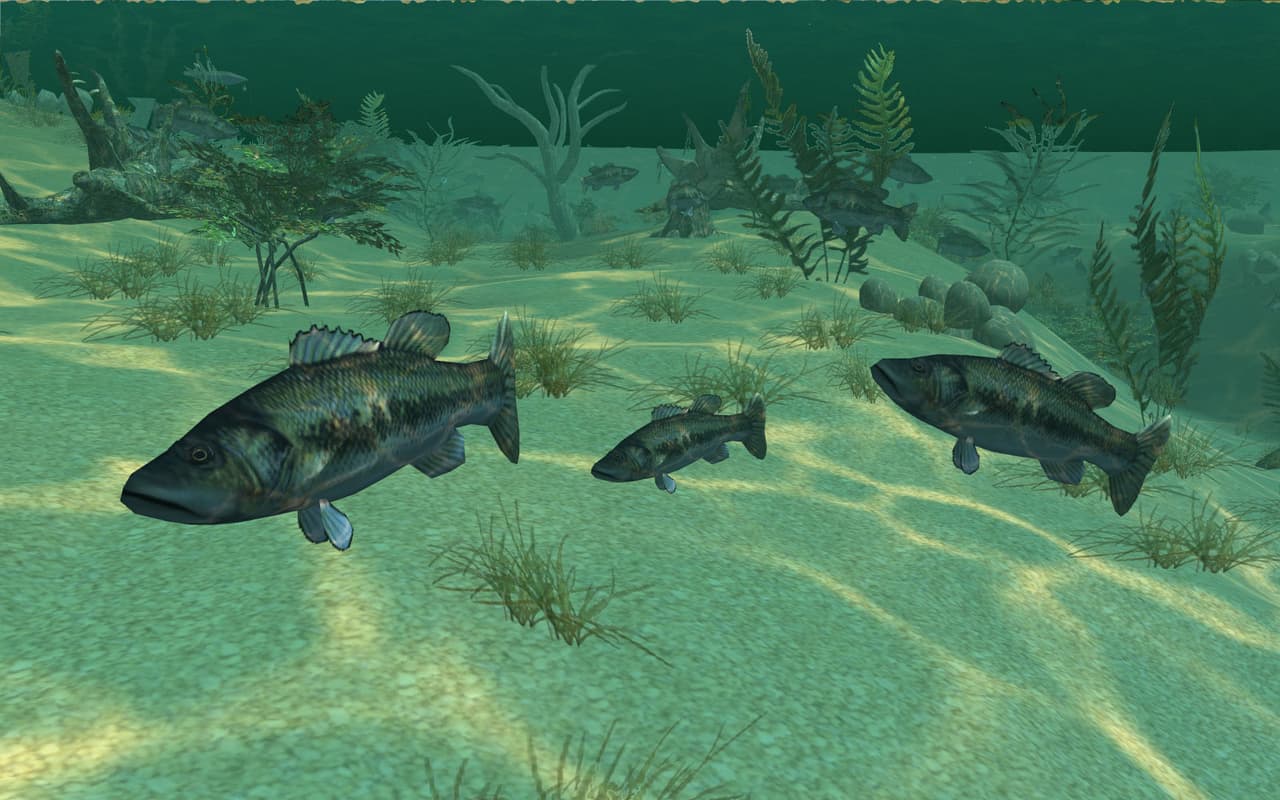 Berkley Bass Tournament Tycoon screenshot 5