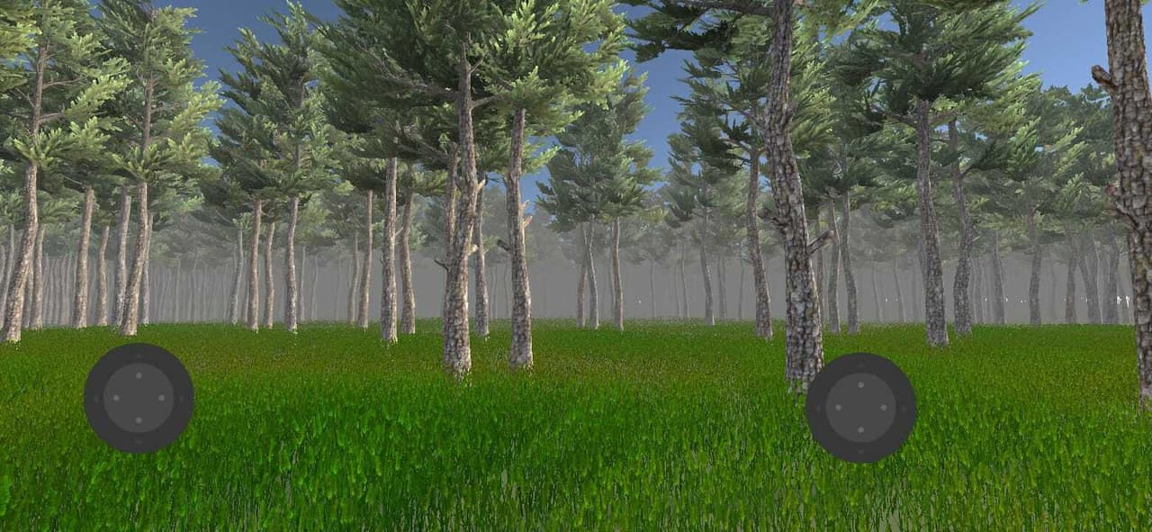 Forest Exploration
