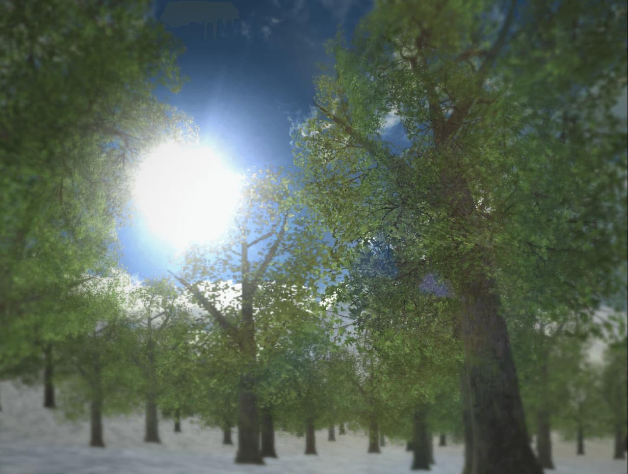 Nature Simulator