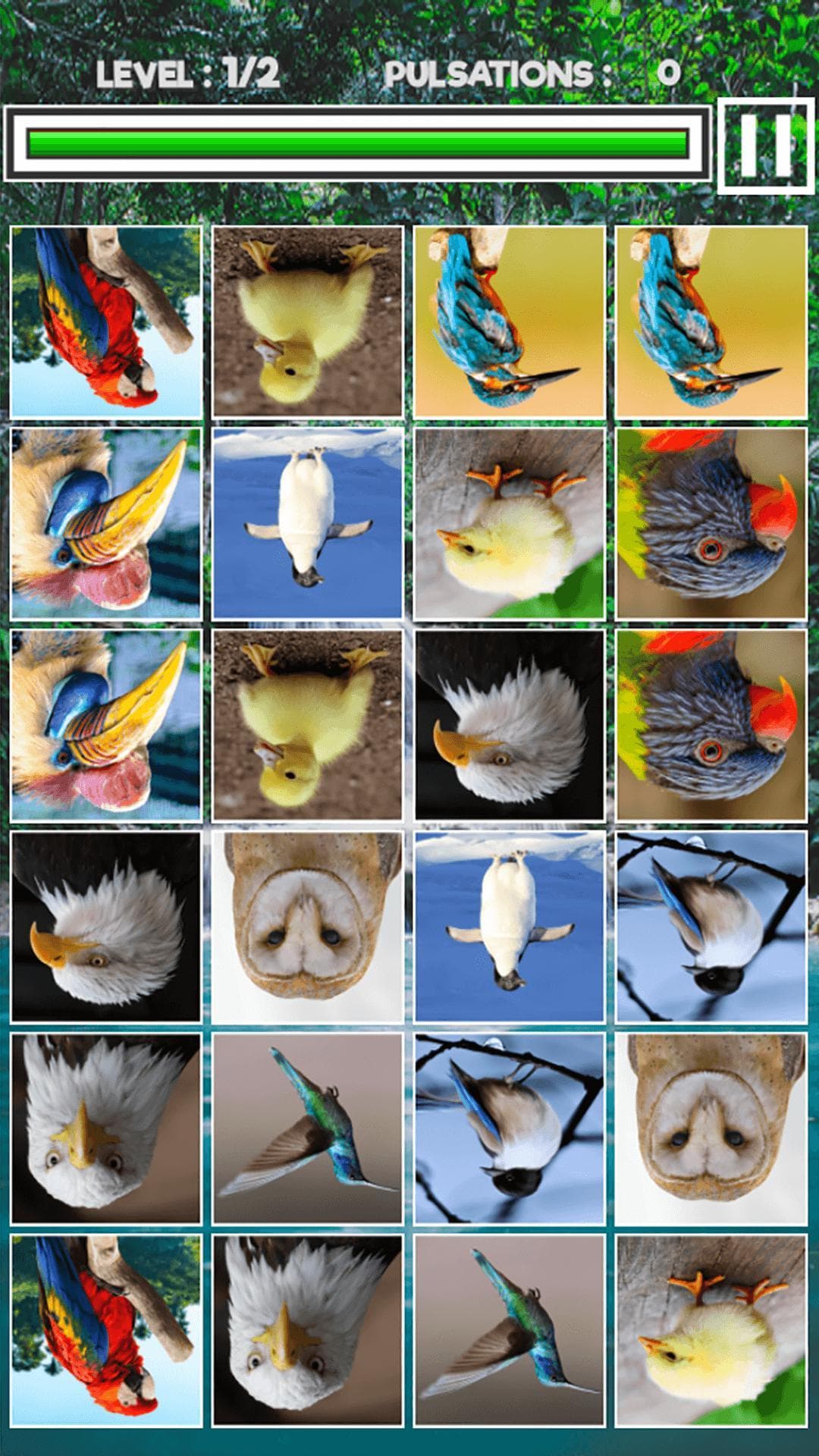 Memory Match Jungle Animals screenshot 4