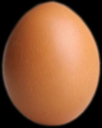 Egg Buddy