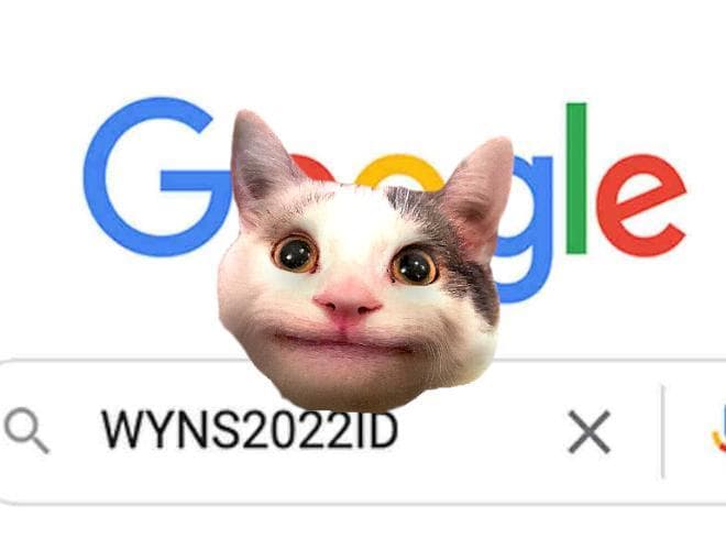 WYNS2022ID - The Game! (Beluga the cat)