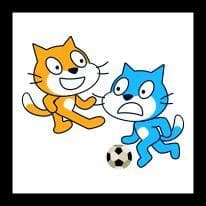 CatBall (AashnavG)