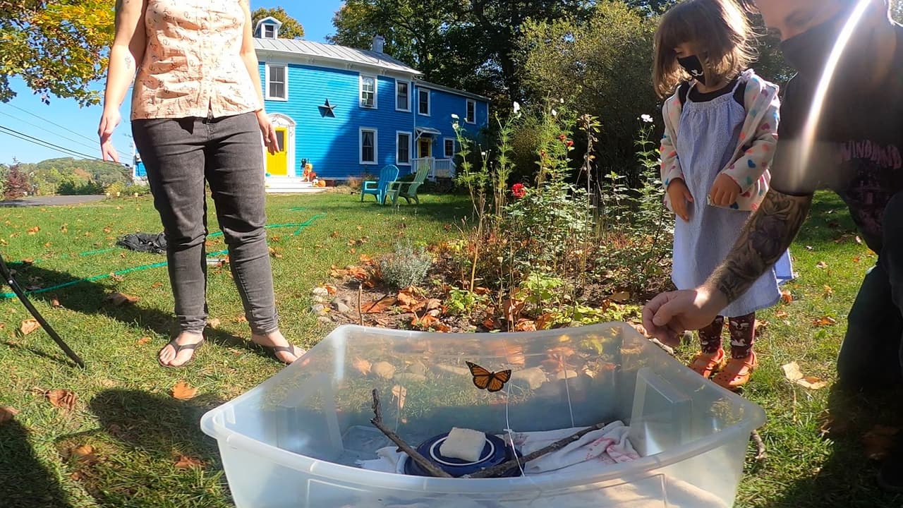 Release Pumpkin at VR screenshot 4