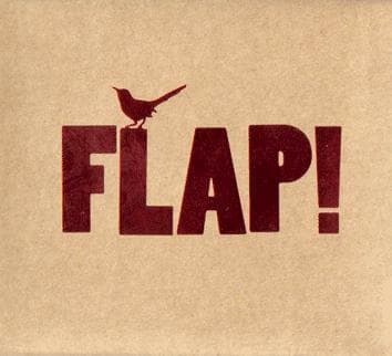 Flying Flaps the Video Game