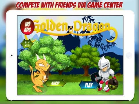 Golden Dragon - Knights & Dragons screenshot 2