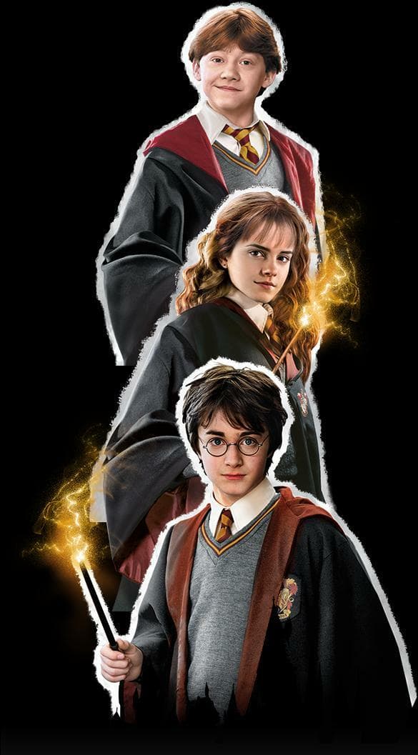 Harry Potter And His Mysterious Adventure