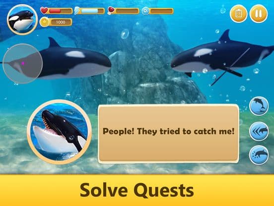 Ocean Whale Orca Simulator: Animal Quest 3D