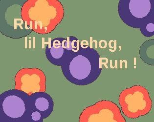Run, lil Hedgehog ,Run