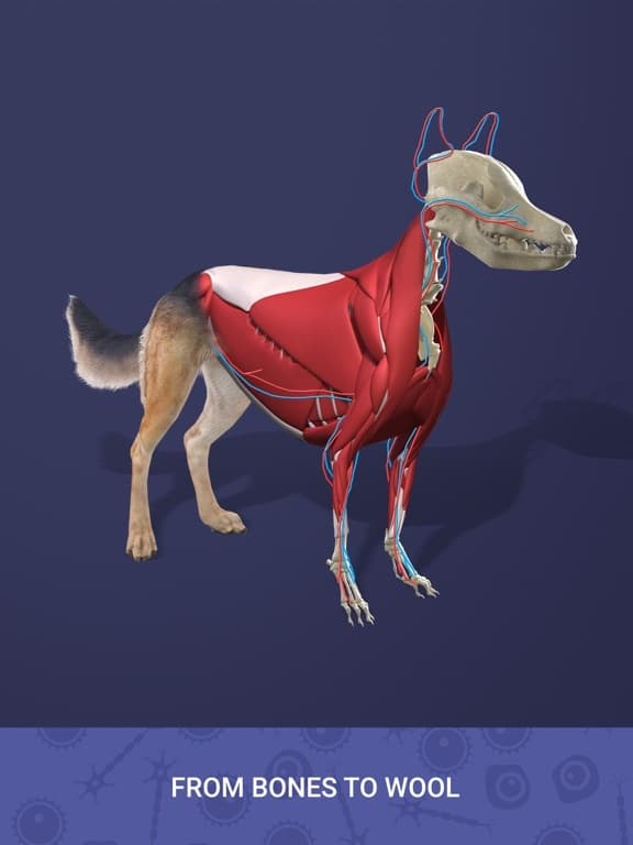 Idle Pet - Create cell by cell